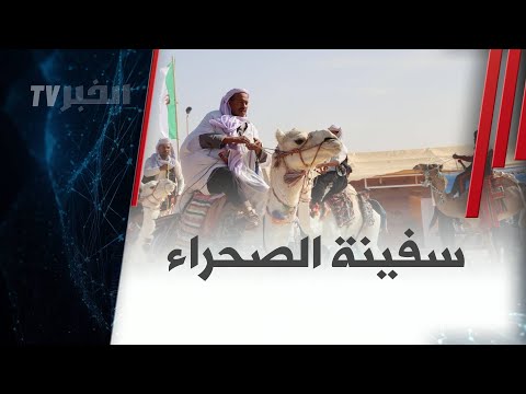 #ريبورتاج :"ناقة وادي سوف .. عزيزة أهلها وثاني ثروة لهم بعد النخيل"