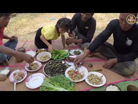 สุดระทึก ล่าหนู หาหนู ขุดหนู ตามทุ่งนา ปิ้งอบโพน หาอยู่หากินแบบ วิถีอีสาน mp4 งานล่าสุด