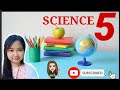 Electricity, Sound, and Light Concepts