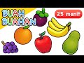 Identifying Fruits and Their Features