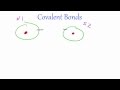 Covalent and Ionic Bonding Concepts