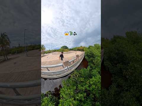 Un explorador me llevó a la guarida de los cocodrilos😱