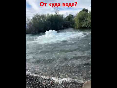 Необычный источник артезианской воды появился в Казахстане #алматы
