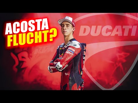 Acosta zu Ducati? MotoGP-Entwicklungsstopp? Was bei KTM wirklich los ist!