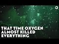 The Oxygen Catastrophe and Its Impact on Early Earth