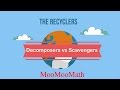 Scavengers and Decomposers in Ecosystems