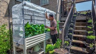 We RUINED Our Garden with Cheap Plastic Tubs - Here's How Metal Planters SAVED It!