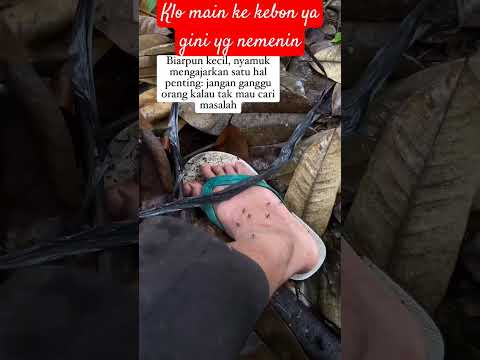 NYAMUK #memengakakkocak #funny #comedy #luv  #vidiolucu #lucuabis #viralvideo #viralrshort