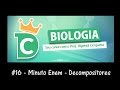 Decompositores e Fluxo de Energia