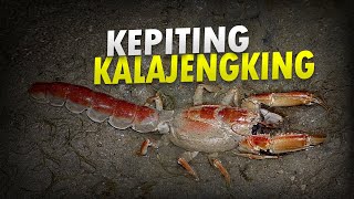 Pesan dari Lumpur #AlamSemenit