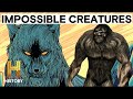 Mysterious Creatures and Phenomena