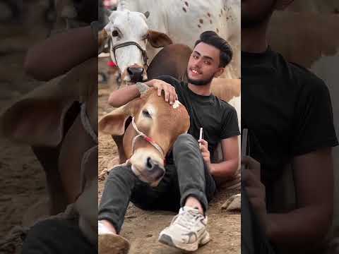 anas Bhai Kia kar rahe ho