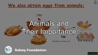 Animals and Their Importance