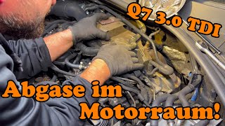 Audi Q7 - 3.0 TDI / Misshandlung durch Partikelfilter ! VW Polo Update  | Audi A6 Quattro Update !