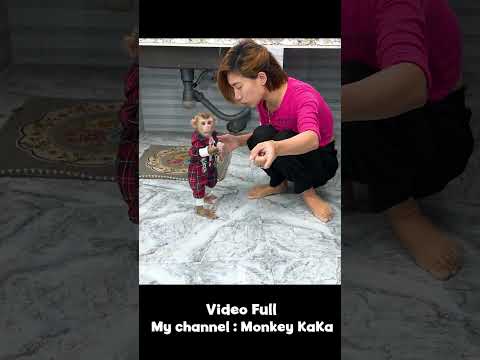 Monkey Hair Red throws the milk carton in the trash after drinking #short