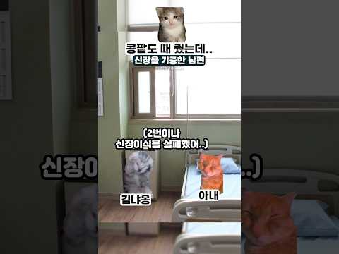 콩팥도 때 줬는데.... #실화