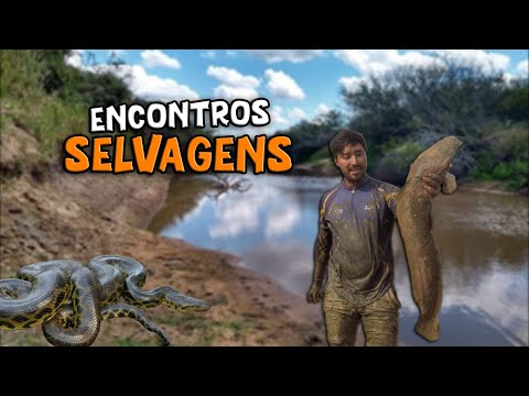 PESCARIAS RECHEADAS E COM MOMENTOS DE MEDO!