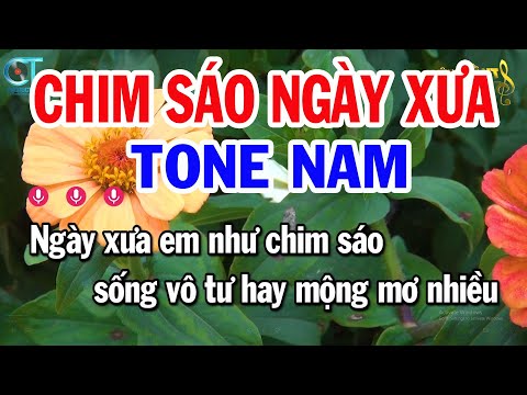 Karaoke Chim Sáo Ngày Xưa Tone Nam ( D ) Nhạc Sống Mới || Karaoke Tuấn Kiệt