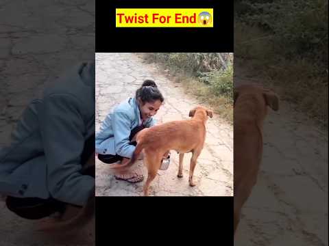 twist for end 😱@MANOJ 1997 FACTS #facts #shortfeed #viral #youtubeshorts #funny