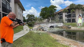 Karens Stalk us as we Stalk Giant iguanas! Iguana Removal Job Breeding Orange iguanas!