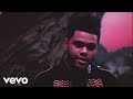Understanding the Lyrics