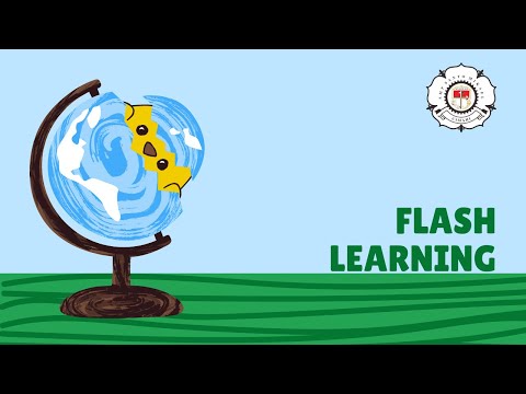 Flash Learning 