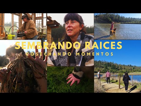 Sembrando Raíces, Cosechando Momentos | Cultivo de Espárragos y un mini Tour de nuestra nueva Casa