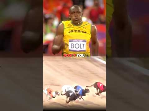 Usain bolt Vs fastest Dog 🥶👀..#motivation #shorts #shortsfeed