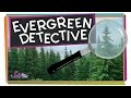 Identifying Evergreen Trees and Features
