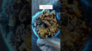 How to clean Dirty Coins 🌗  #oddlysatisfying  #asmr