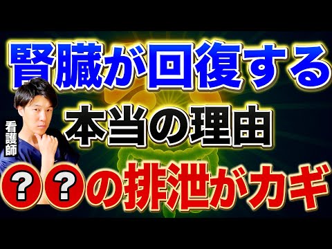 【新常識】腎臓病が治る仕組み！血流改善と老廃物を減らす10の秘密！