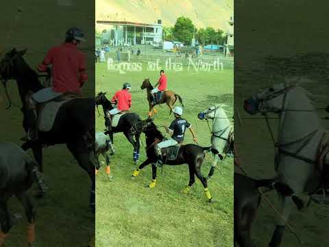Free style polo Chitral| #polo #horse #chitralpolo #poloseason #mountains #horseriding #polohorse