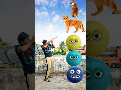 dog looking behind cat monkey got and rabbit are standing together funny VFX magic video#shortsfeed
