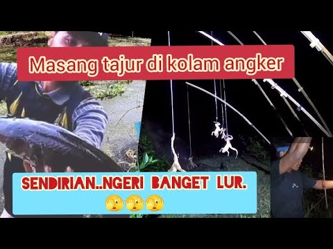 Ngeri banget ngangkat Tajur malam hari sendirian, serem banget