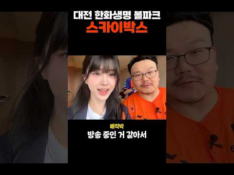 매직박님 초대로 스카이박스 직관 다녀왔습니다 #shorts