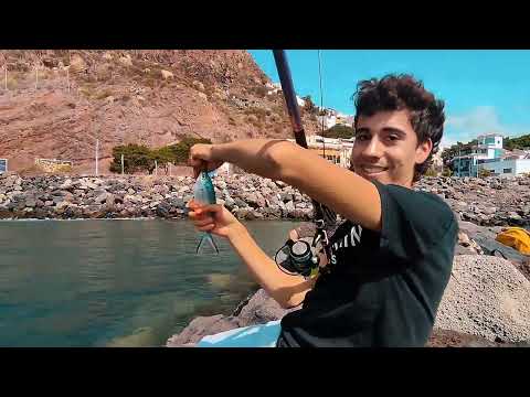 RECOPILACIÓN DE LA PESCA DE HOY 🎣🔥 PALOMETAS ☠️ (Pesca Tenerife)