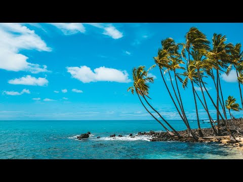 Caribbean Beach Jazz 24/7&#127796;Relaxing Tropical Music &amp; Bossa Nova with Ocean Waves Sounds for Good Mood