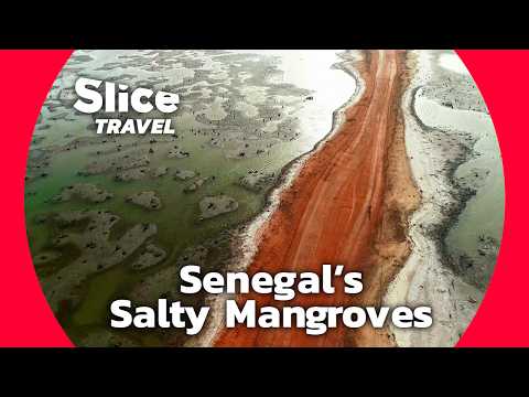 YouTube video thumbnail: Safeguarding the Unique Ecosystem of Senegal's Saloum Delta