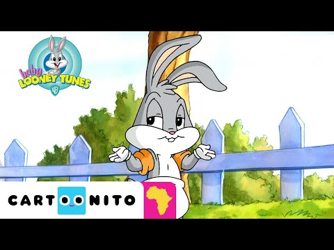 The missing blanket l Baby Looney Tunes l Cartoonito Africa