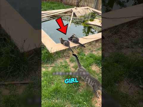 This Girl SAVED Cats Water
