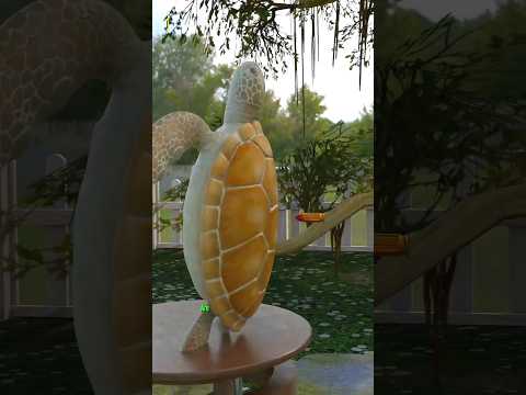 Are Turtle Shells Bulletproof?