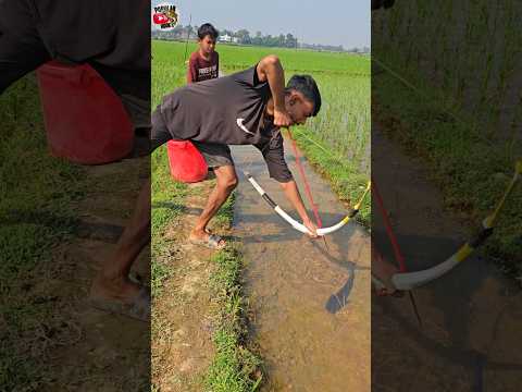 ✅Amazing Drean Fishing & How To Arrow Bow Fishing (Part-6) #shorts #ytshorts #drean_fishing #fish