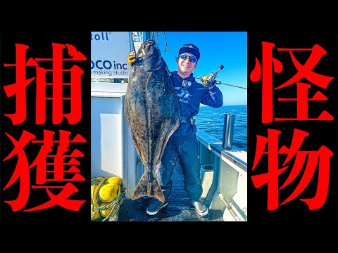 【衝撃的サイズ】日本の海にこんな化け物が存在した・・・！！