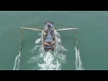 Ocean Health and Human Impact