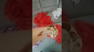 #fyp #foryou #foryoupage #snake #reptiles #boaconstrictor