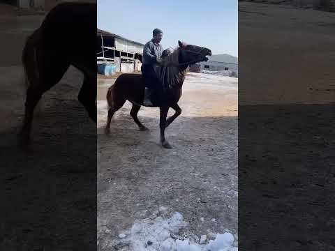 R задний ход