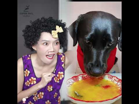 #foryou #pets