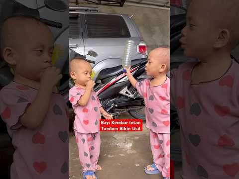 Astaga !! Bayi Kembar Intan Tumben Bikin Usil #melahirkan #babytwins #bayilucu #bayikembar