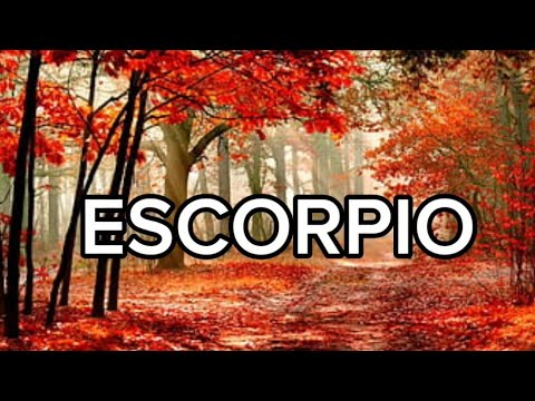 ESCORPIO ♏TU Y TU EX SE VOLVERÁN A VER CARA A CARA, YA ESTA MARCADO, EL REGRESO ES POR DESTINO ❤