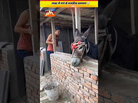 लास्ट में दिमाग लगाकर गधे से नमकीन बना दिया?@srifact74 #shorts